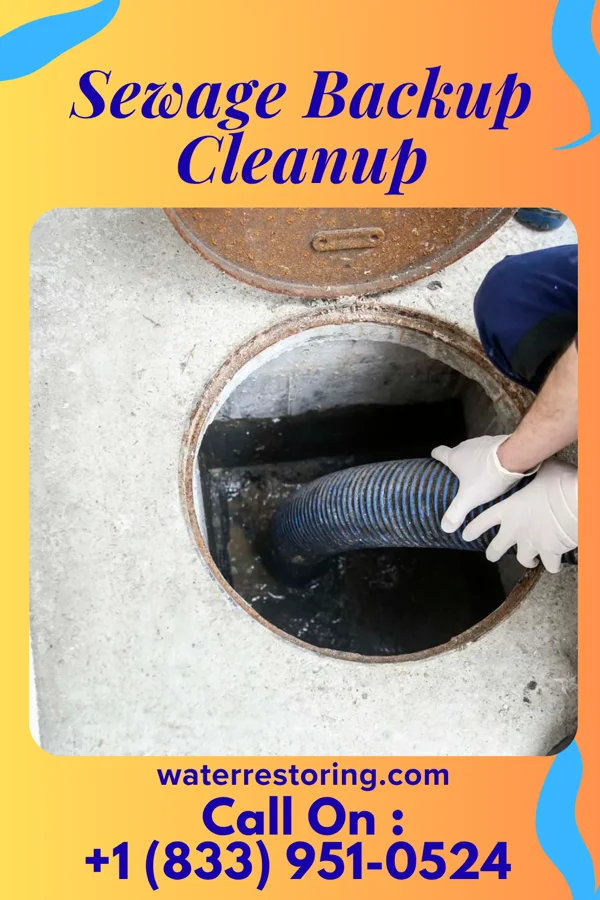 Sewage Backup Cleanup in Boyne City, MI